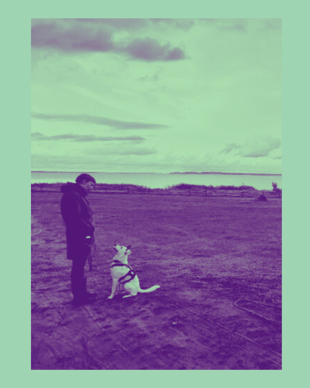 Julia von Schlawinerdogs